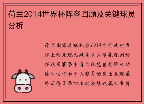 荷兰2014世界杯阵容回顾及关键球员分析